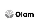 olam